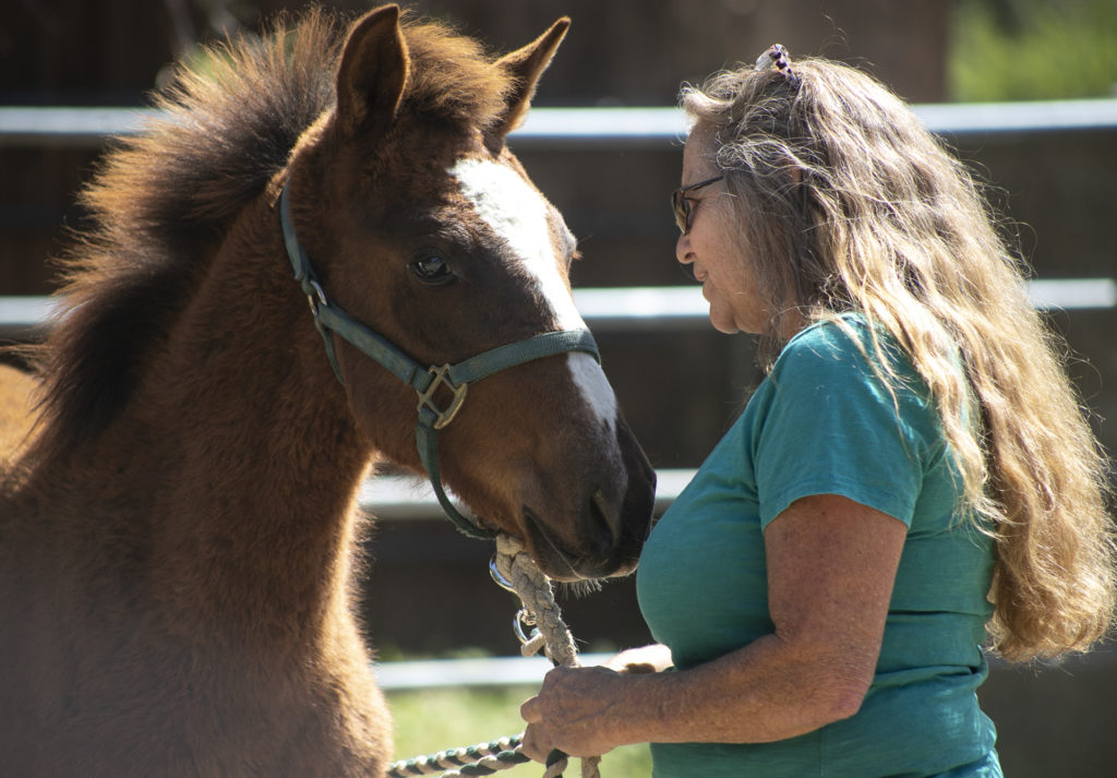 Tita Brown talks with her horse