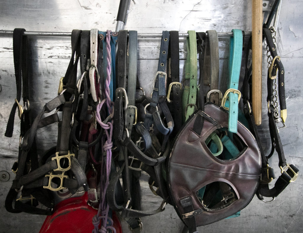 Horse harnesses hang in a transport trailer